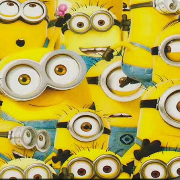 Hydrogrpahic store Film Full Kits MINIONS XXL