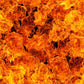EXTREME FLAME AMBER DIP KIT