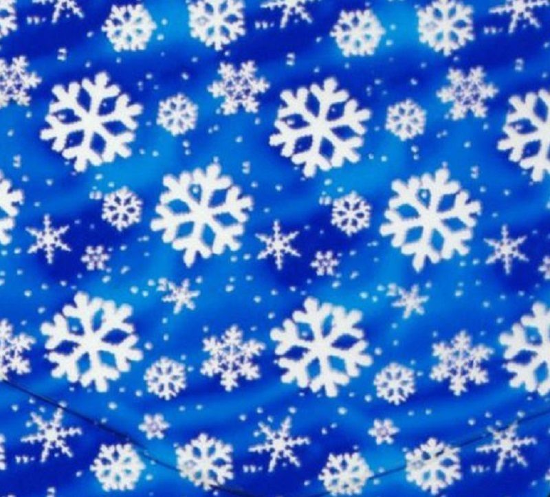 BLUE SNOW FLAKE DIP KIT